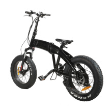 New Model Folding E Bike for Man